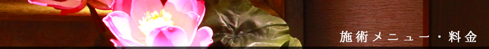 施術メニュー・料金